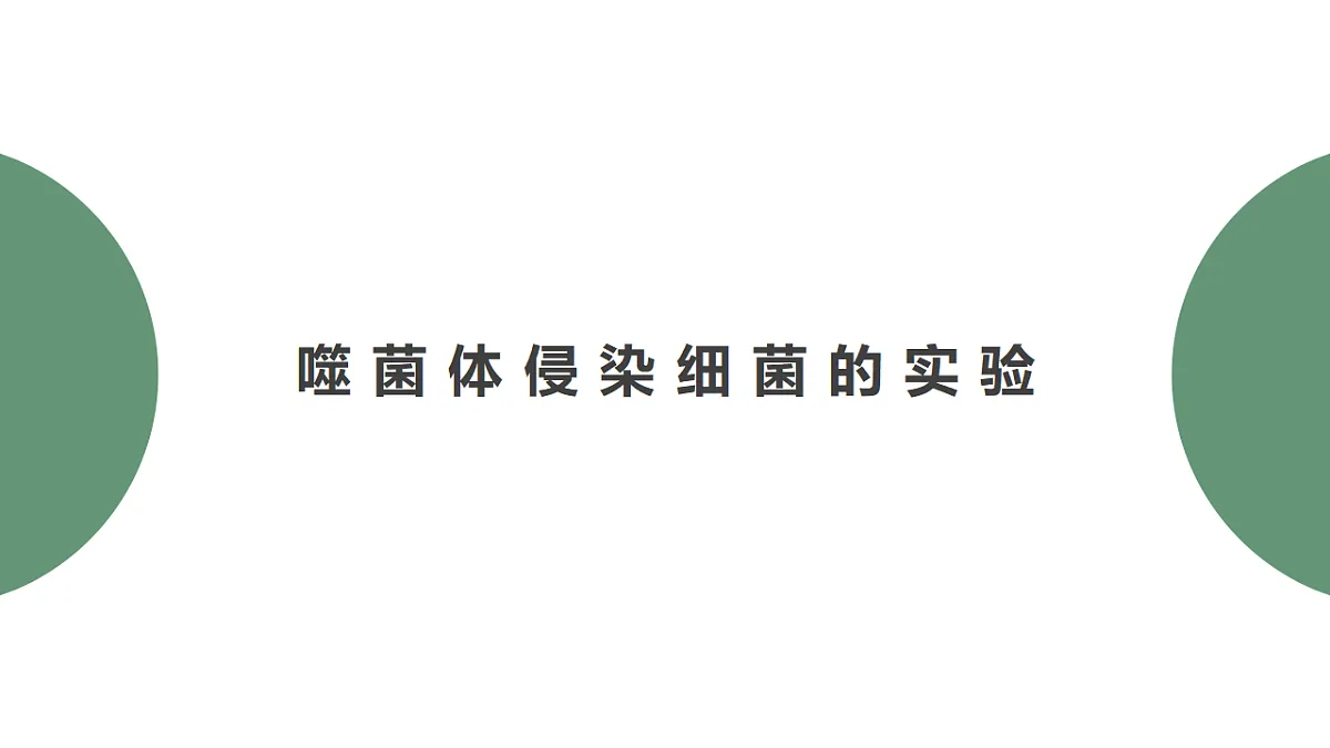 17738746第3页