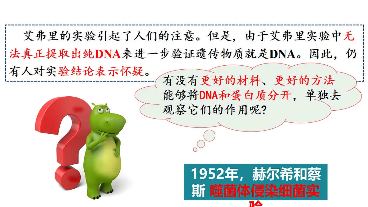 17738746第4页