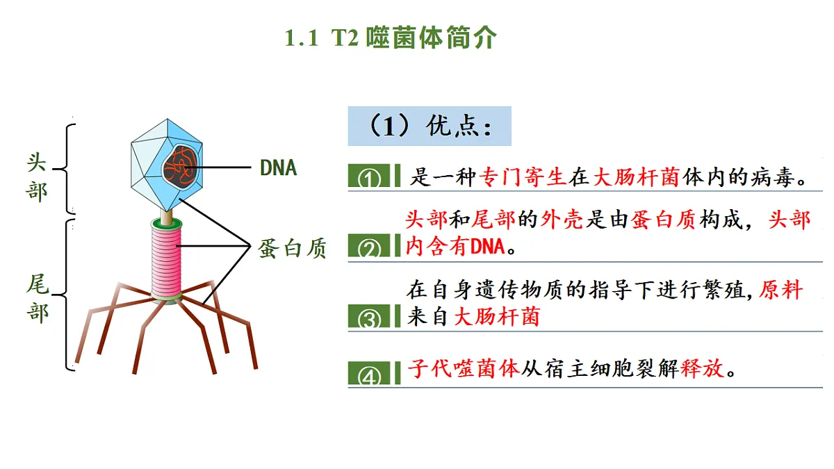 17738746第5页