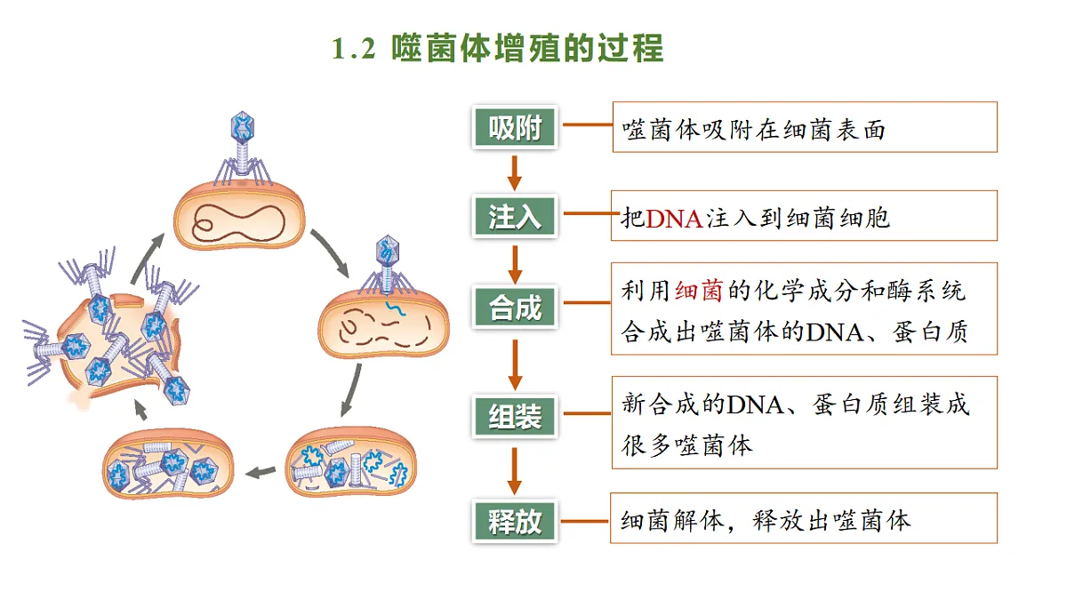 17738746第6页