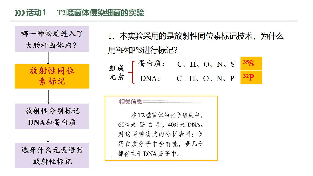 17738746第7页