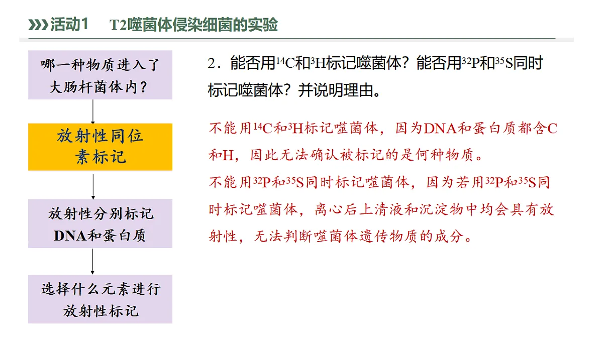 17738746第8页