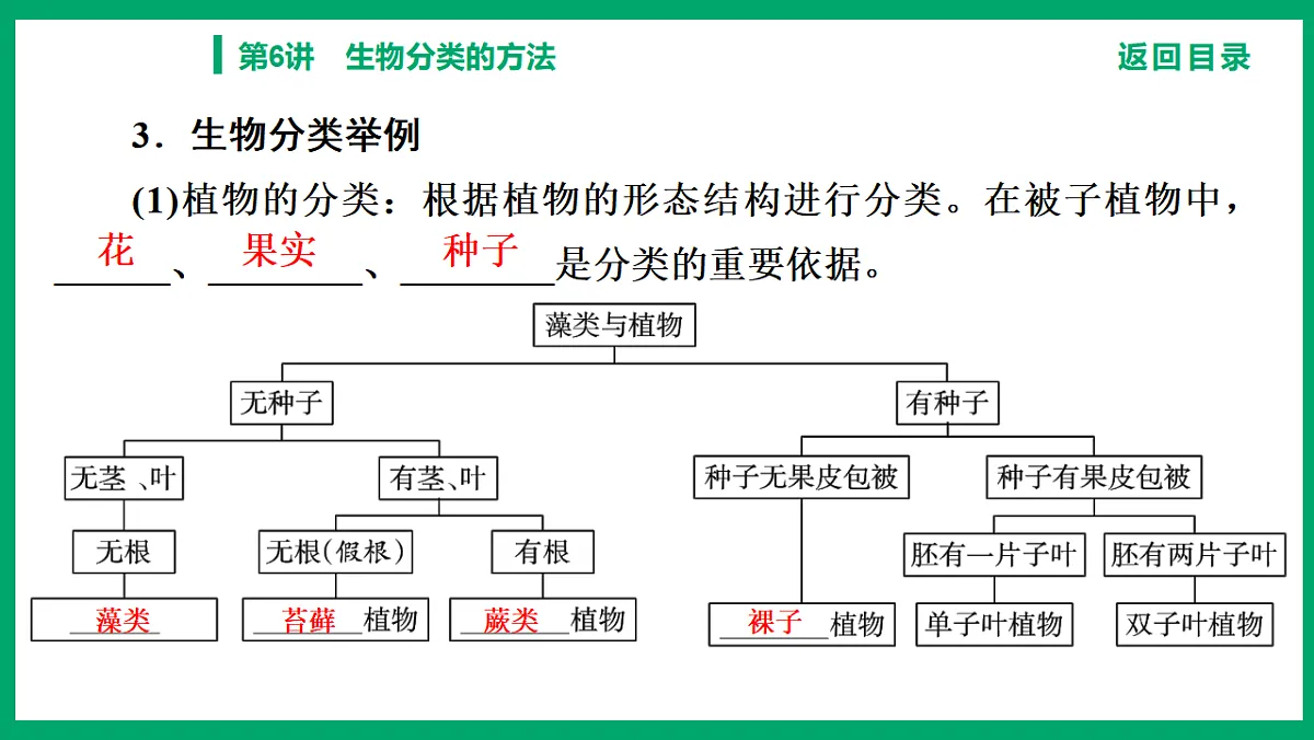 17739650第6页