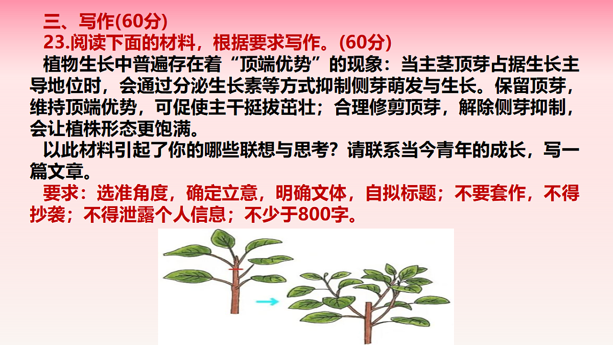 17740504第2页