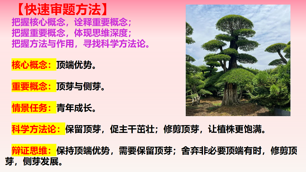17740504第3页