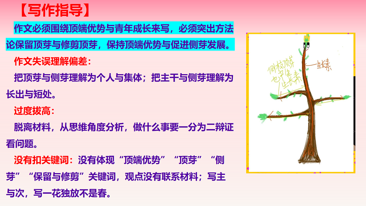 17740504第6页