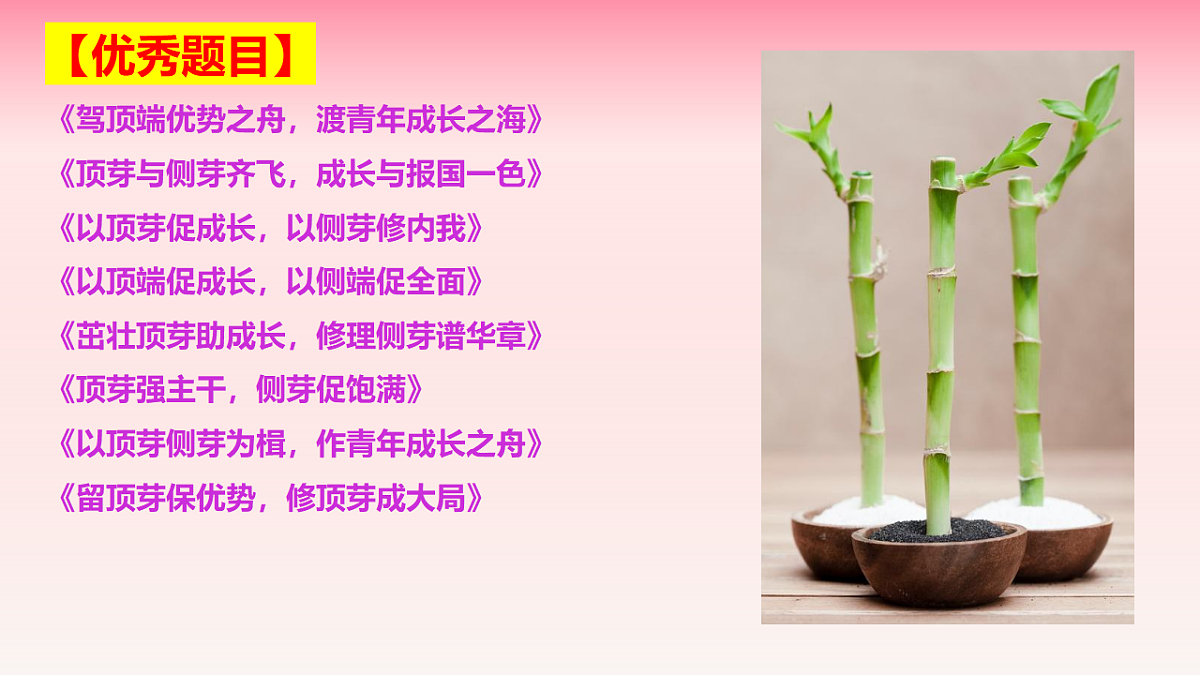 17740504第8页