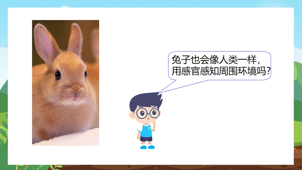 17741420第3页