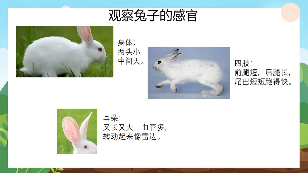 17741420第4页