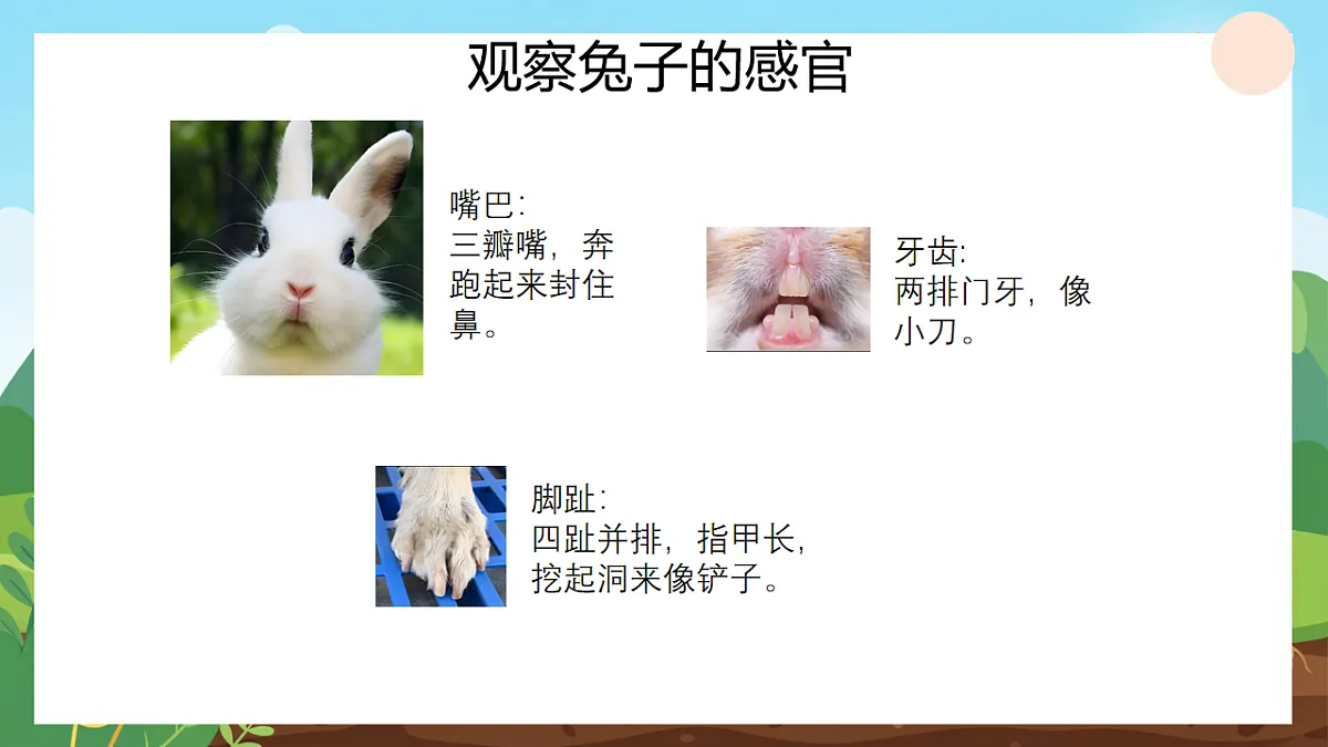 17741420第5页