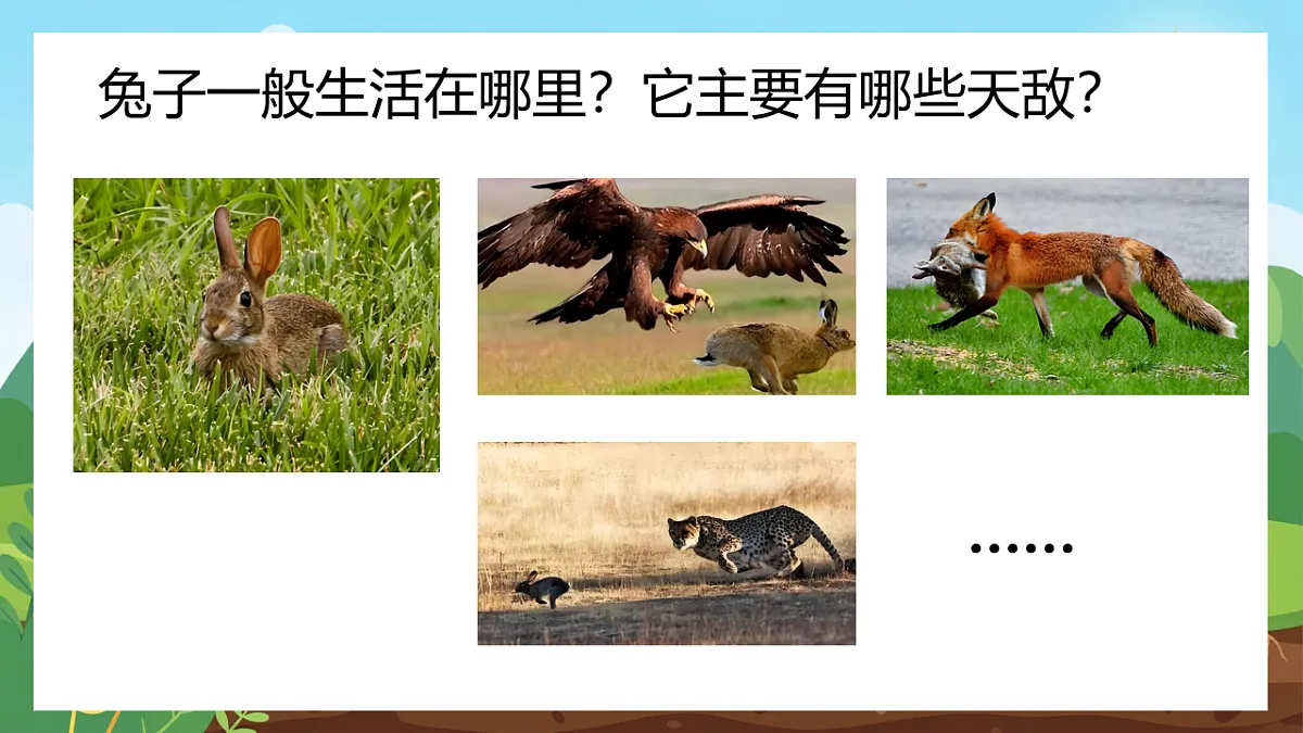 17741420第7页