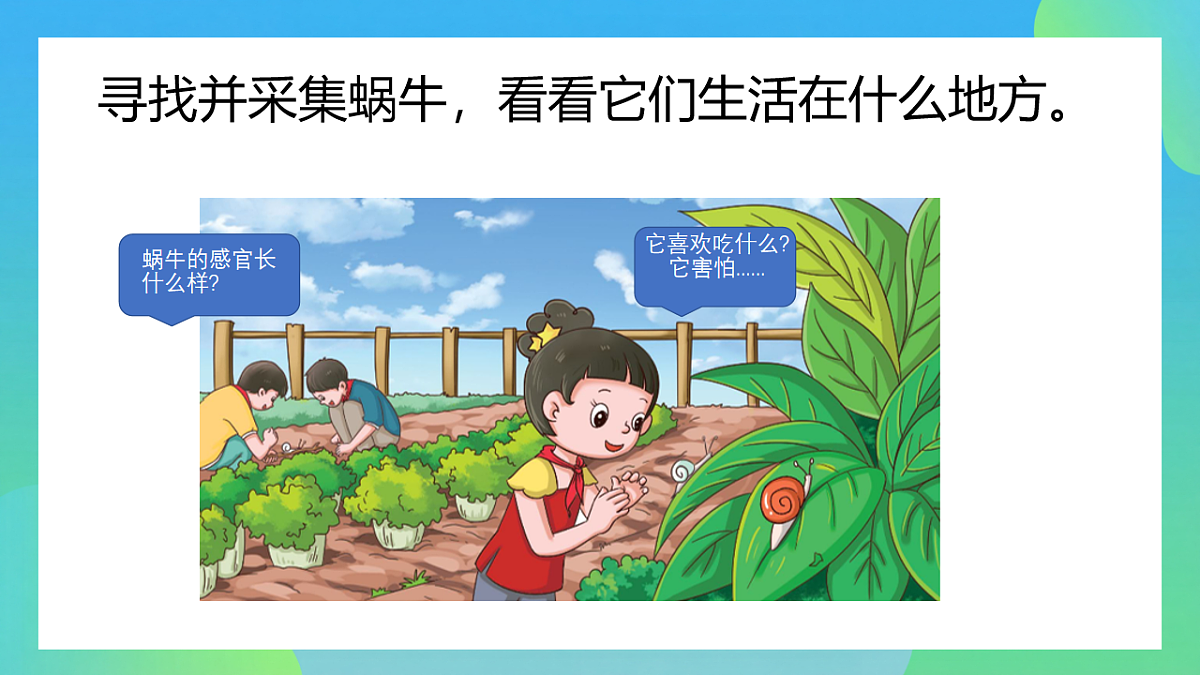 17741421第3页