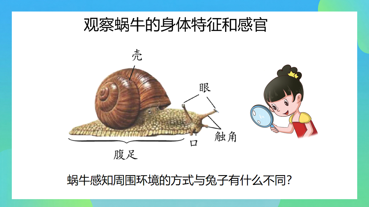 17741421第4页