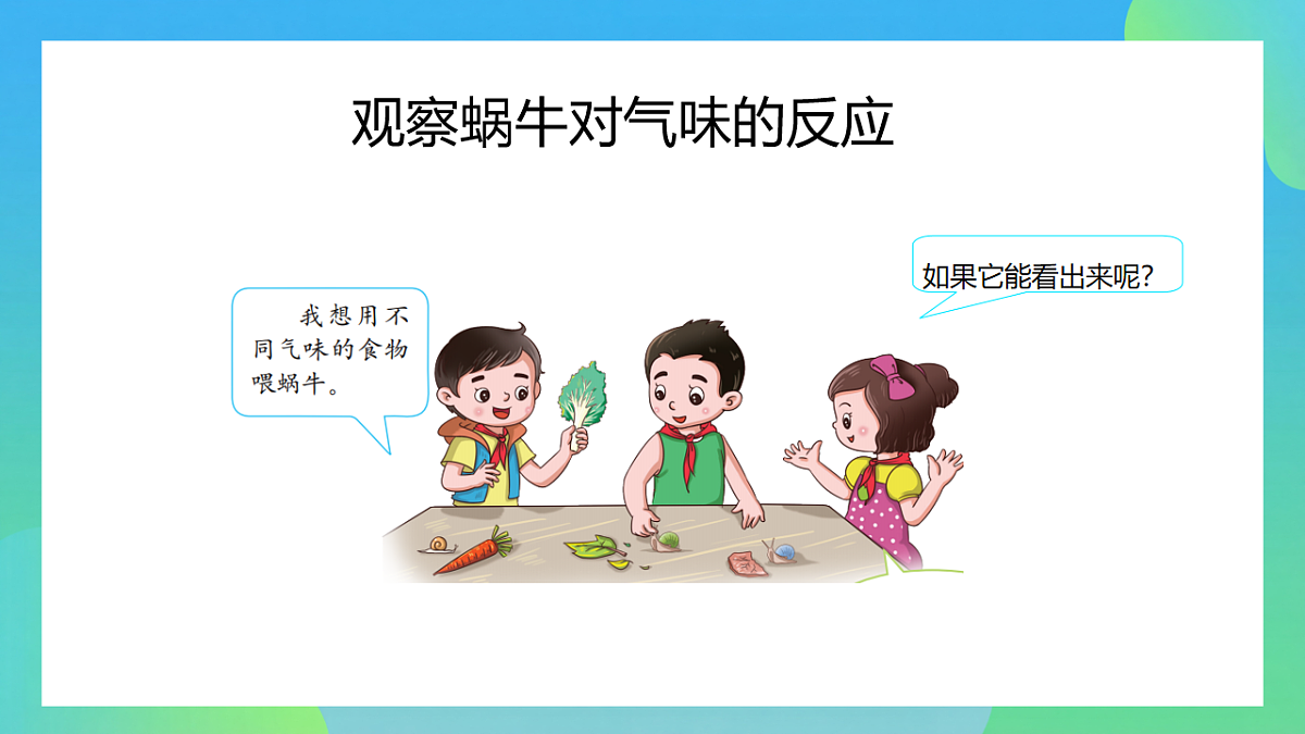 17741421第5页