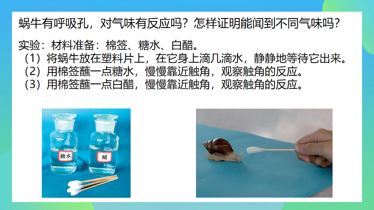 17741421第6页