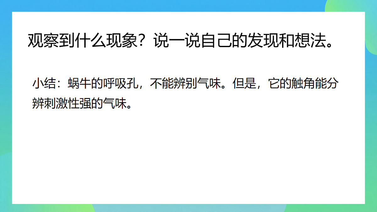 17741421第7页