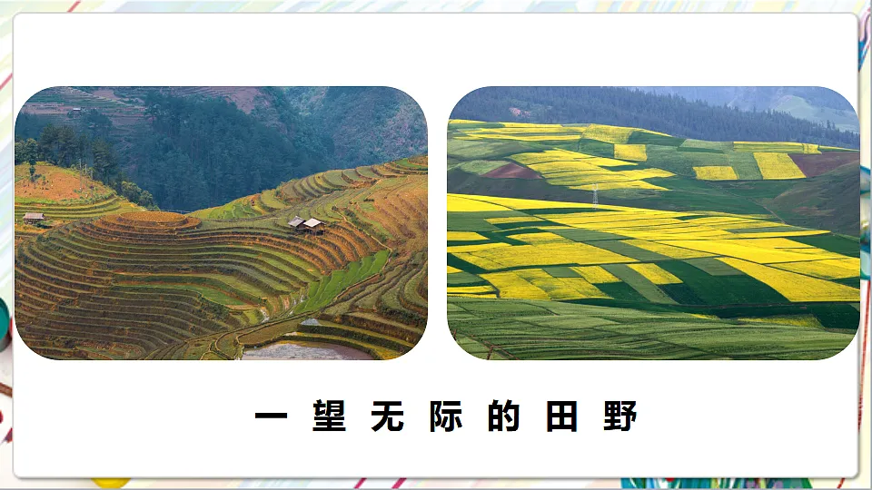 17742955第4页