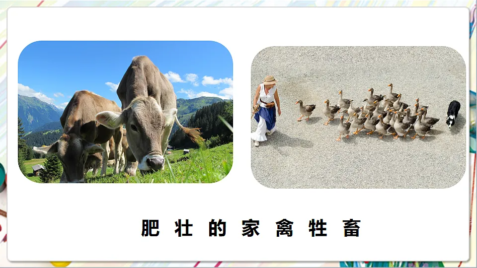 17742955第6页