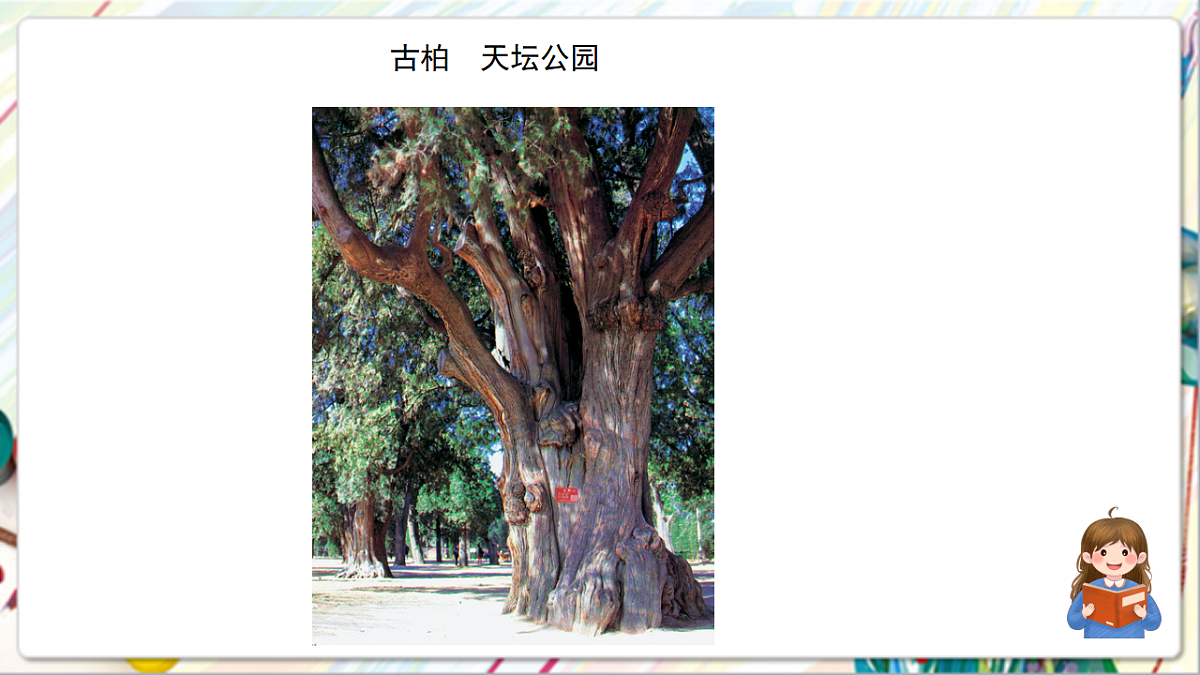 17742958第3页