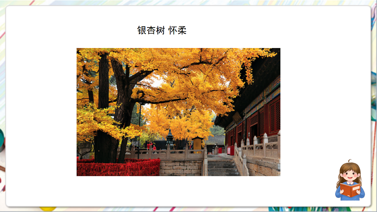 17742958第7页