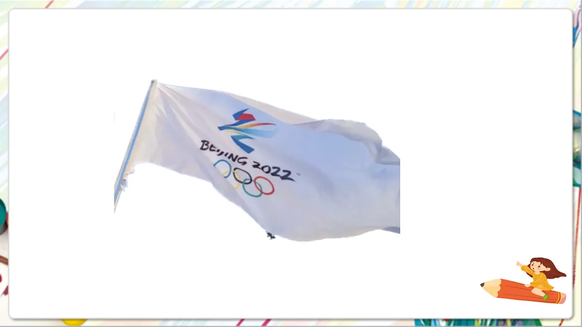 17742964第8页