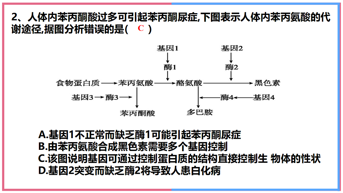 17743820第5页