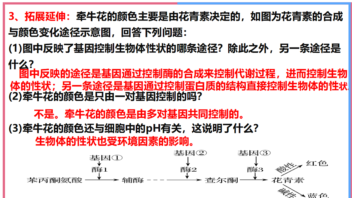 17743820第6页