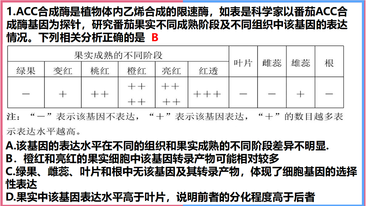 17743820第8页