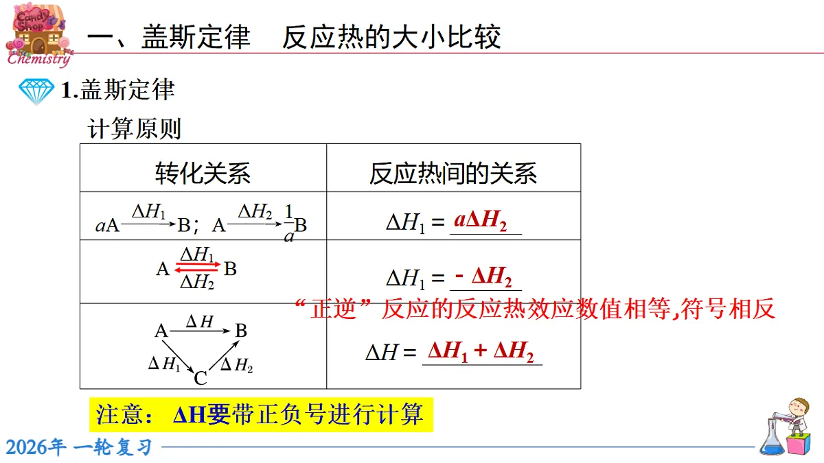 17743822第5页