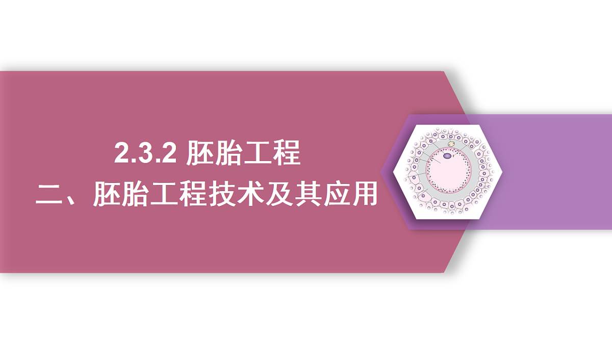 17744203第1页