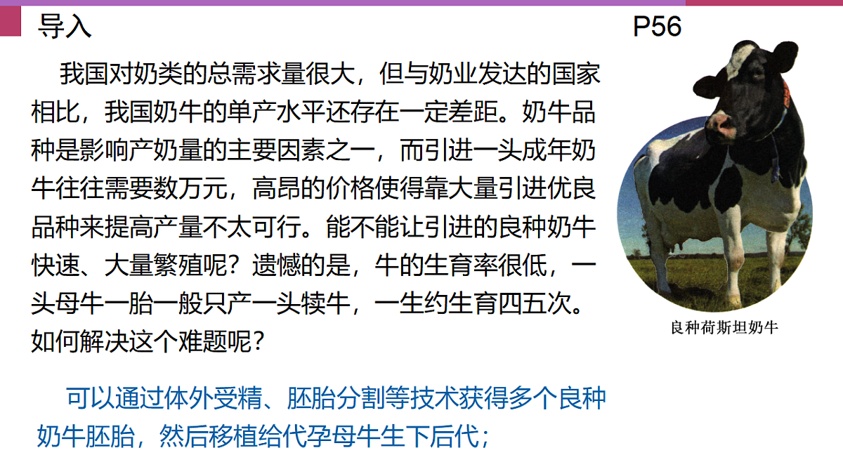 17744203第2页
