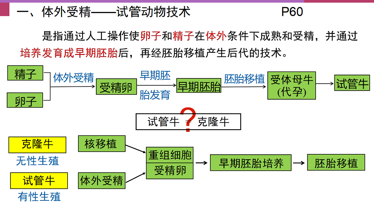 17744203第3页