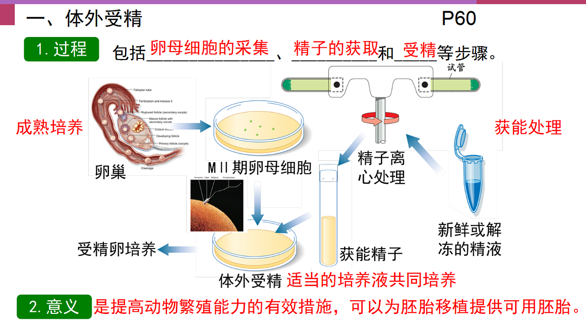 17744203第4页