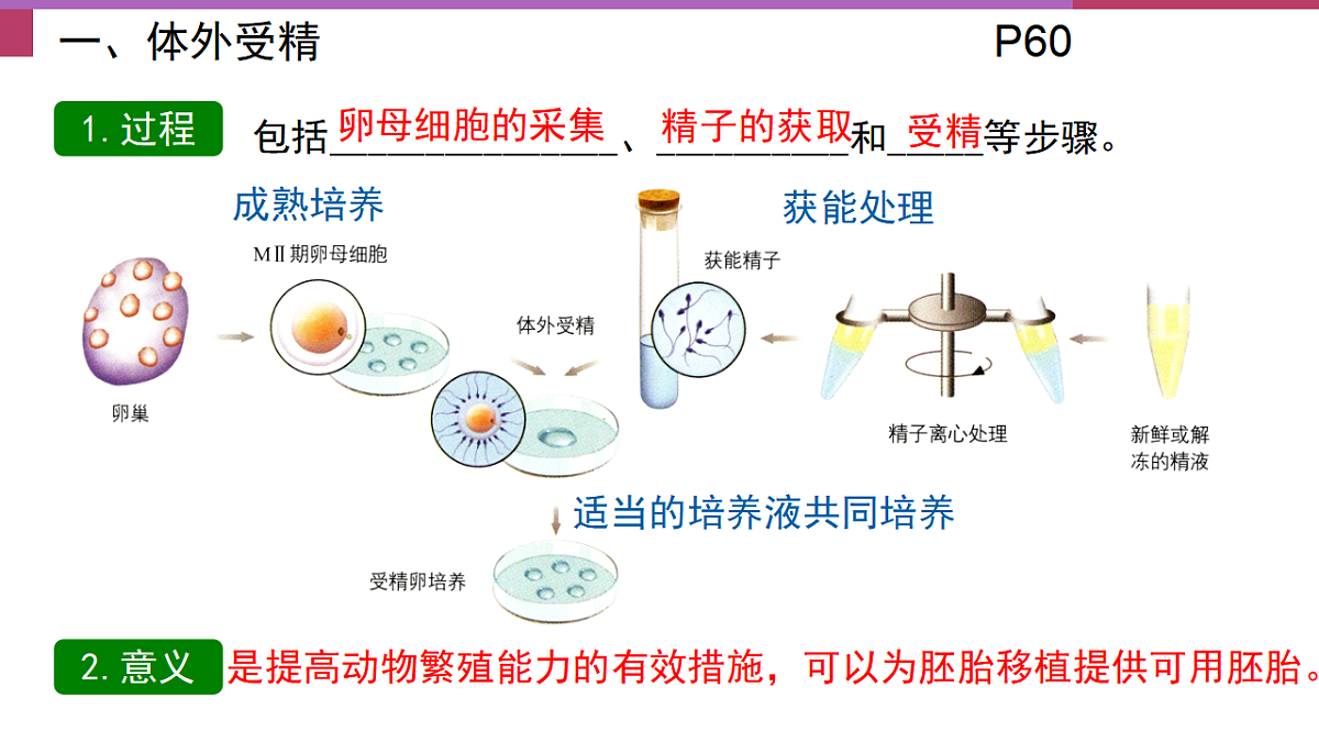 17744203第5页