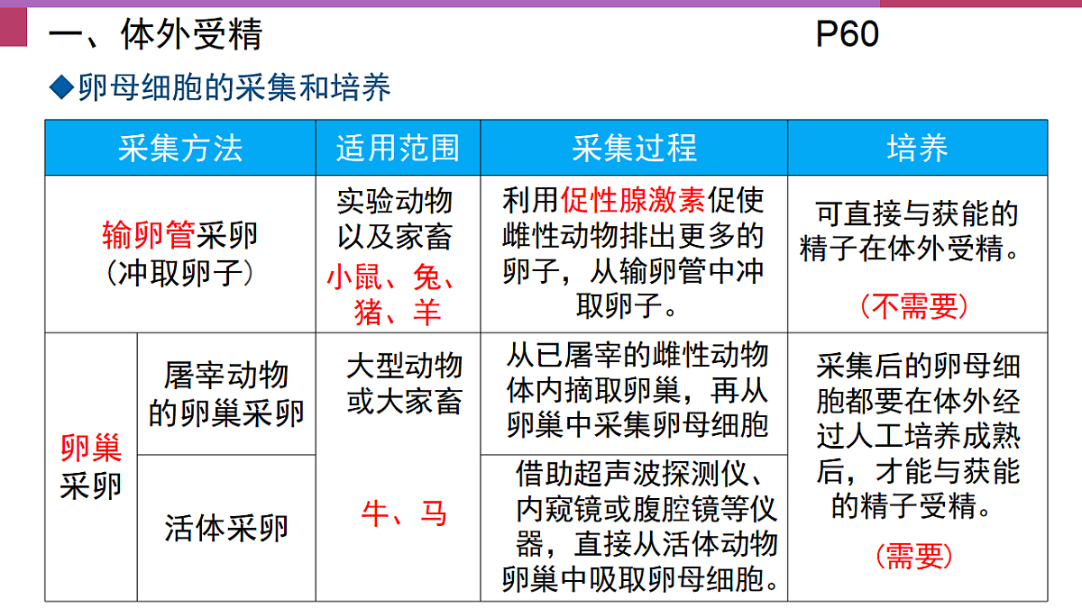 17744203第6页