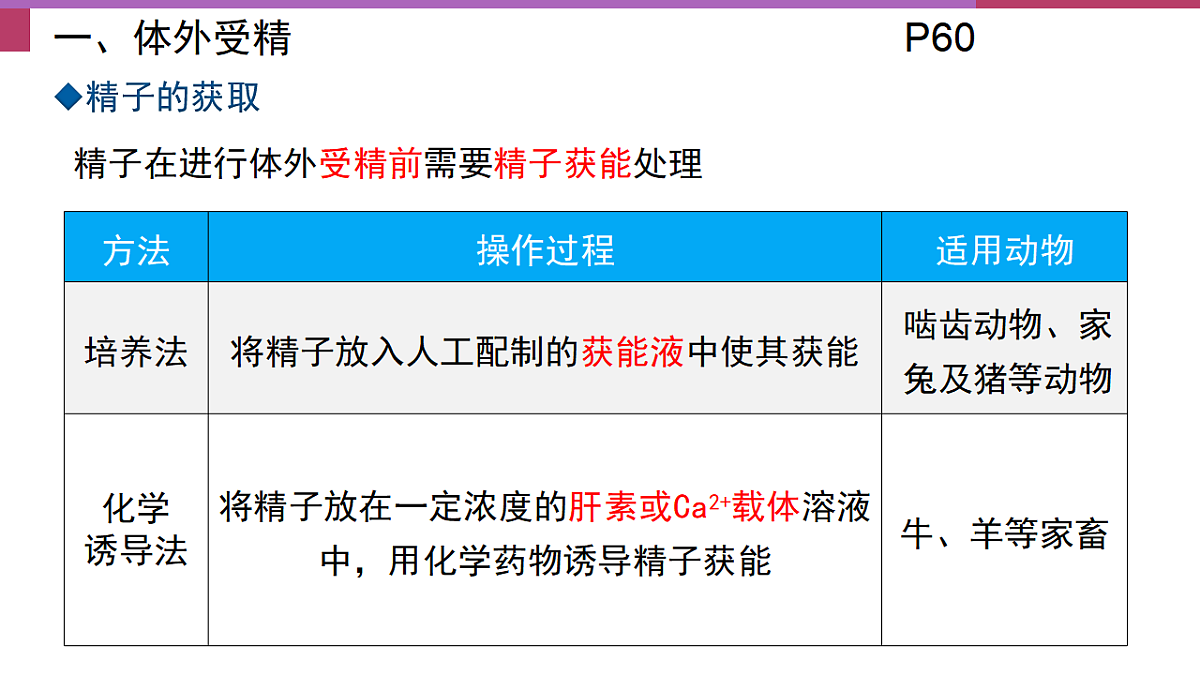17744203第7页