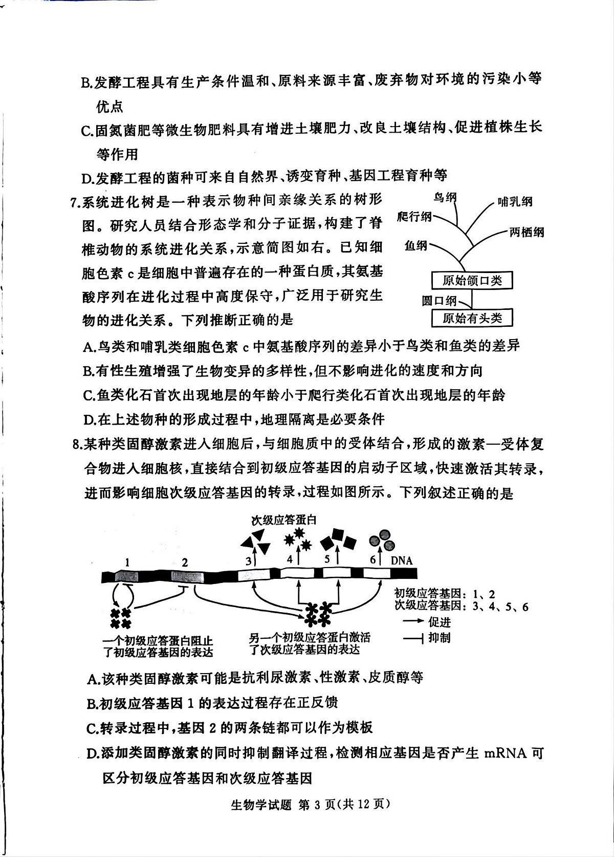湘豫名校联考2025-2026学年高三上学期12月月考生物第3页