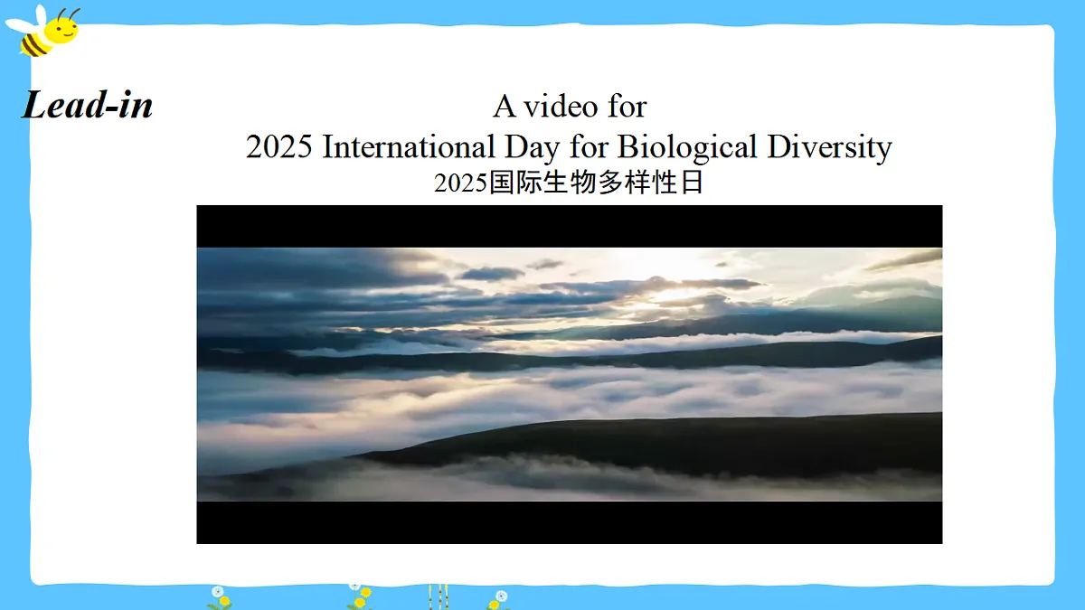 17746245第2页
