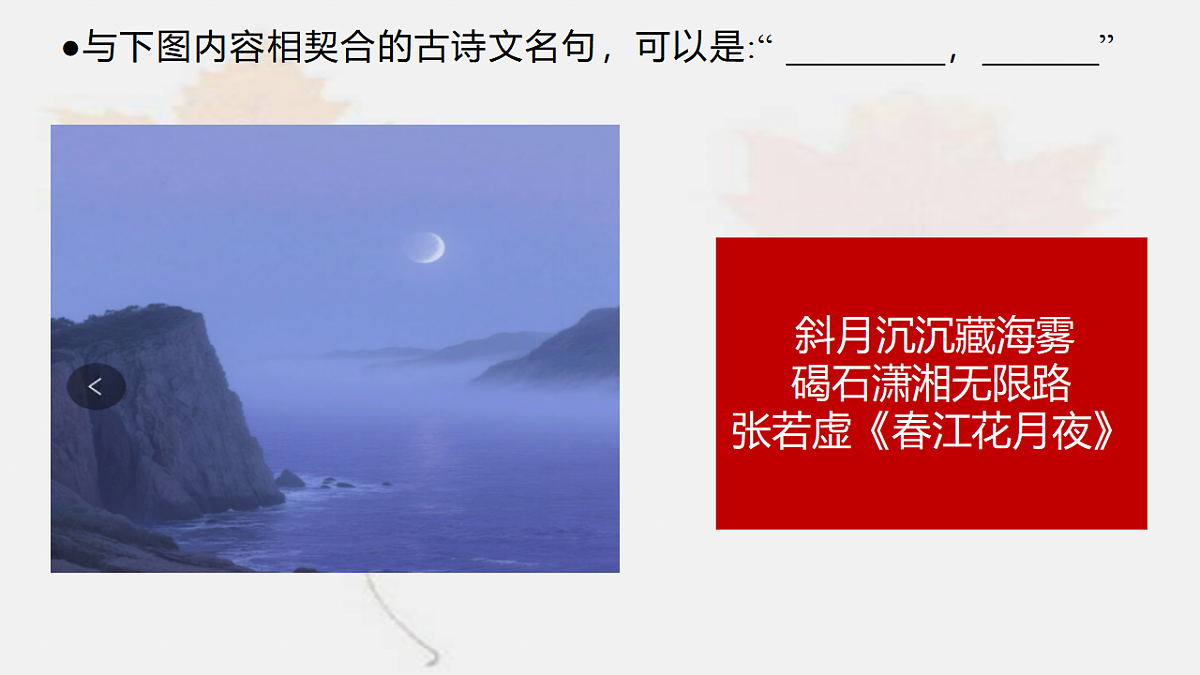 17746301第5页