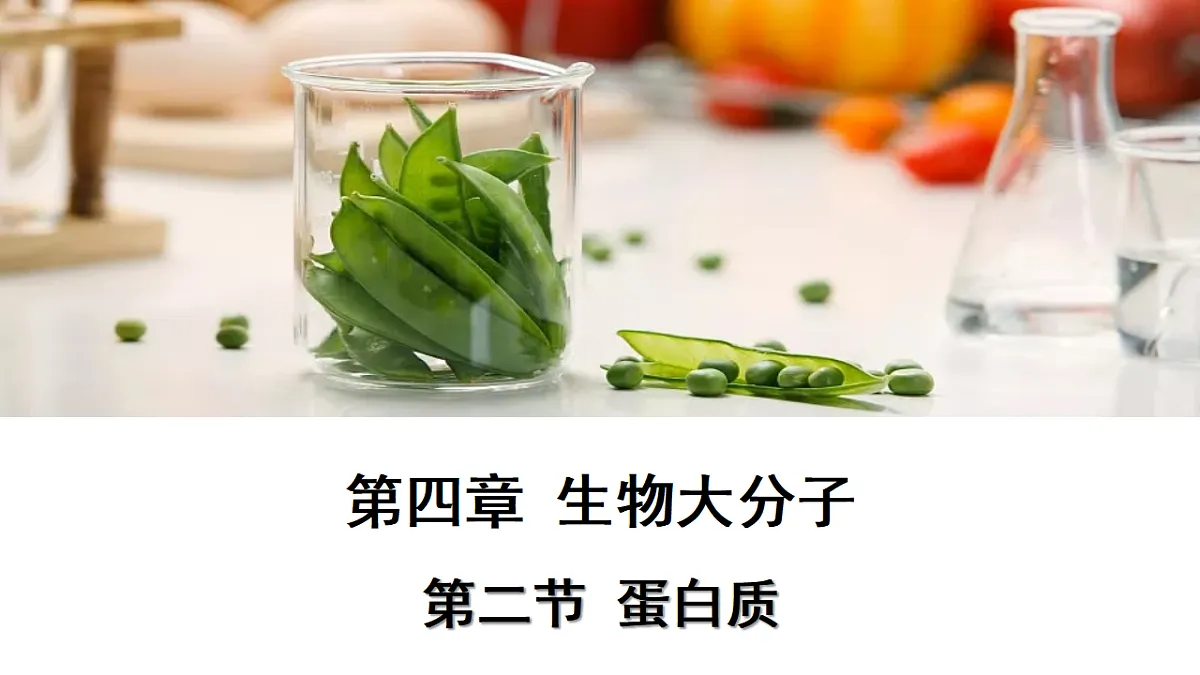 17747179第1页