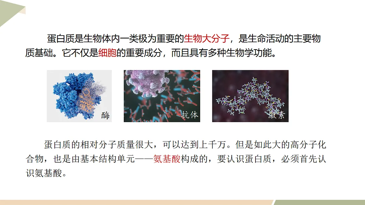 17747179第2页