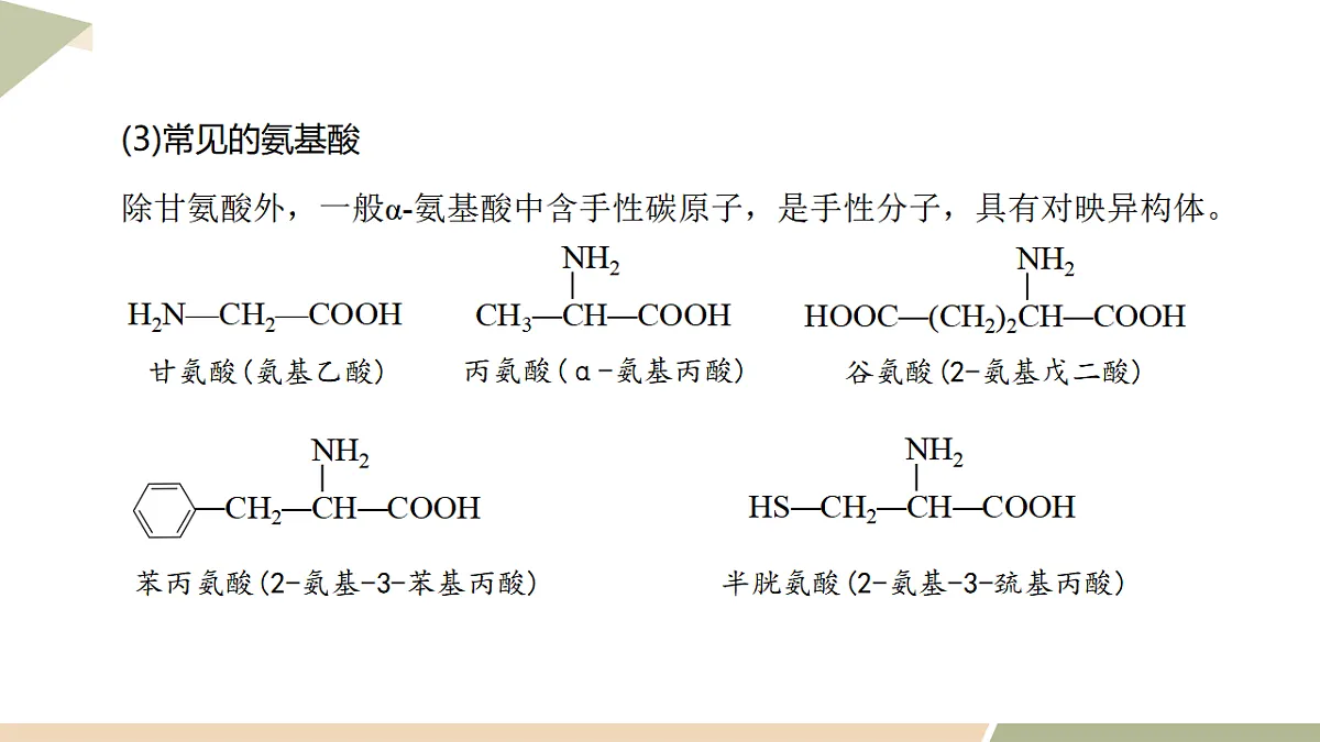 17747179第5页