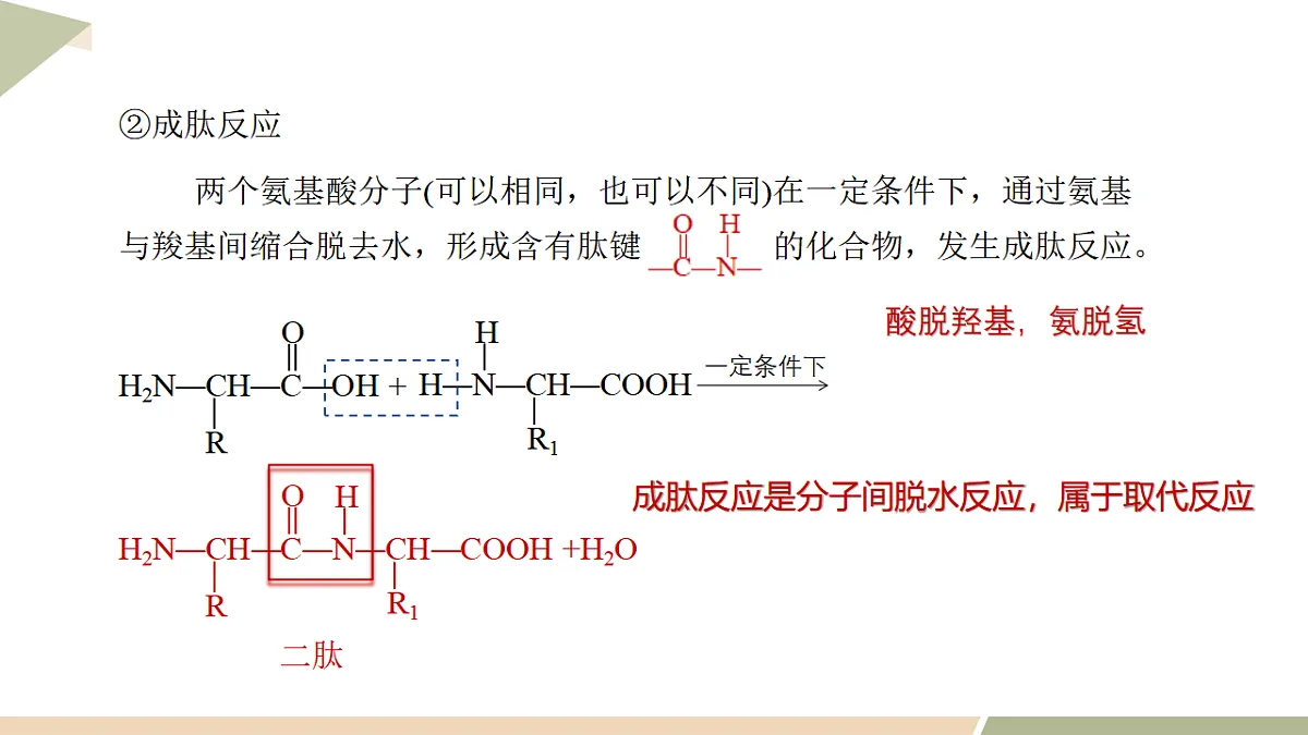 17747179第8页