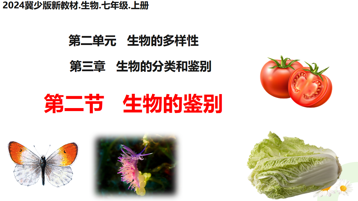 17748212第1页