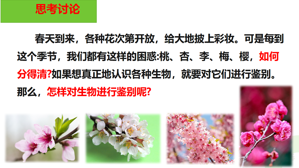 17748212第2页