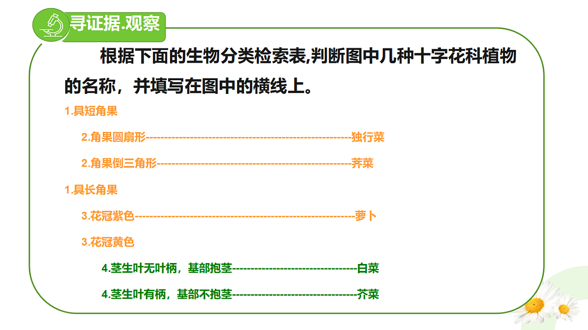 17748212第4页