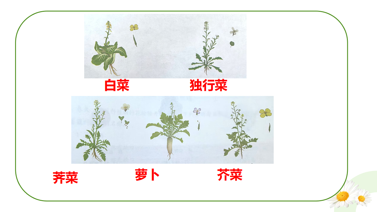 17748212第6页