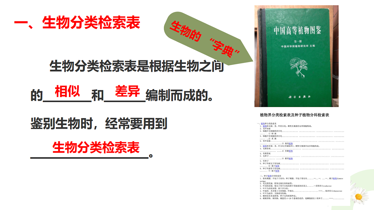 17748212第7页