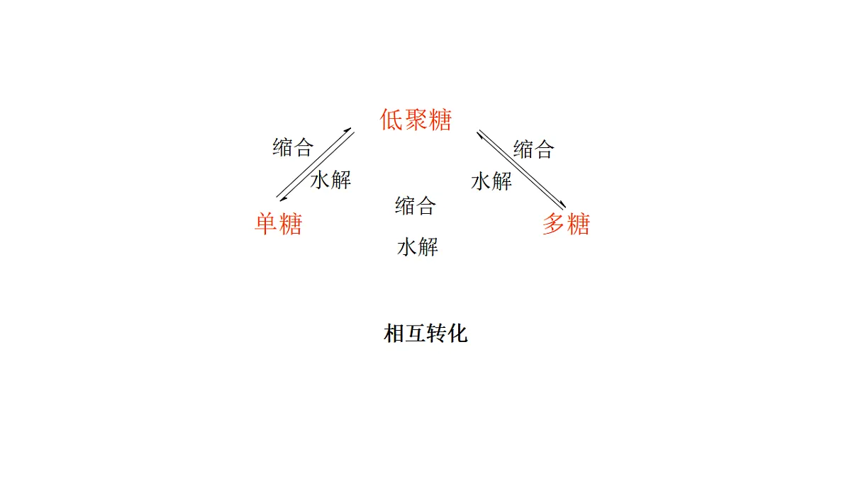 17748267第7页