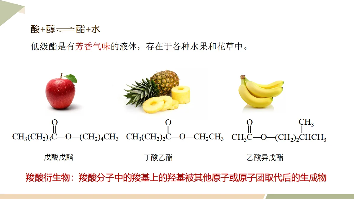 17748268第2页